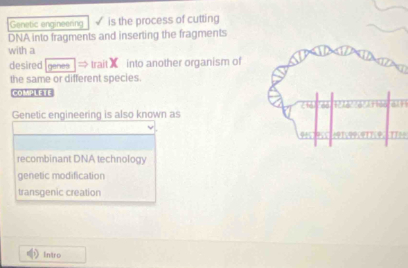 Genetic engineering is the process of cutting
DNA into fragments and inserting the fragments
with a
desired genes trait X into another organism of
the same or different species.
COMPLETE
Genetic engineering is also known as
TN
recombinant DNA technology
genetic modification
transgenic creation
Intro