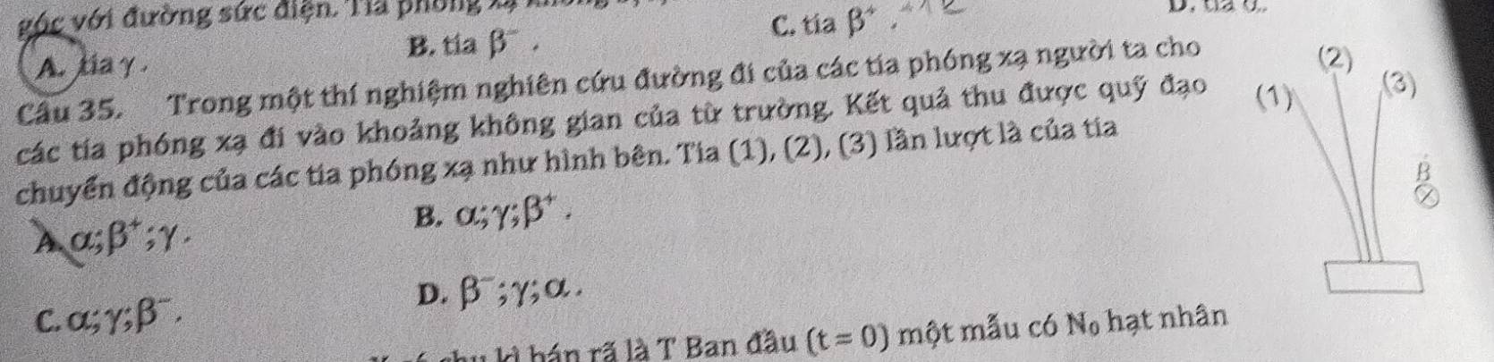 vúc với đường sức điện. Tia phòng lý
B. tía beta^-. C. tia beta^+
A. taγ . (2)
Cầu 35. Trong một thí nghiệm nghiên cứu đường đi của các tia phóng xạ người ta cho
các tía phóng xạ đi vào khoảng không gian của từ trường. Kết quả thu được quỹ đạo (1) (3)
chuyển động của các tia phóng xạ như hình bên. Tia (1), (: ∠ 1, (3) lần lượt là của tía
B
A alpha; beta^+; gamma.
B. alpha; gamma; beta^+.
D. beta^-; gamma; alpha.
C. alpha; gamma; beta^-. hạt nhân
1 hn rã là T Ban đầu (t=0)mwidehat Q t mẫu có N_0