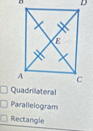 Parallelogram 
Rectangle