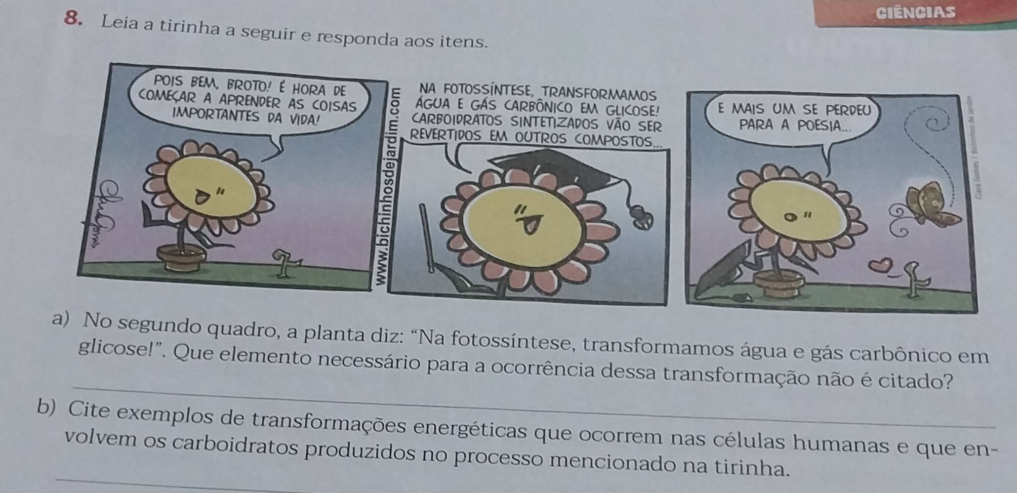 Ciências 
8. Leia a tirinha a seguir e responda aos itens. 
No segundo quadro, a planta diz: “Na fotossíntese, transformamos água e gás carbônico em 
_ 
glicose!". Que elemento necessário para a ocorrência dessa transformação não é citado? 
b) Cite exemplos de transformações energéticas que ocorrem nas células humanas e que en- 
_ 
volvem os carboidratos produzidos no processo mencionado na tirinha.