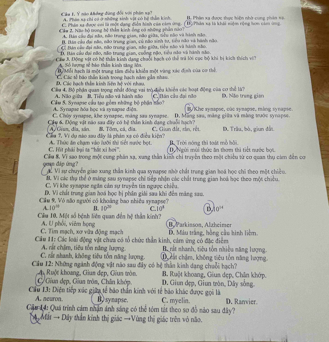 Ý nào không đúng đối với phản xạ?
A. Phản xạ chỉ có ở những sinh vật có hệ thần kinh. B. Phản xạ được thực hiện nhờ cung phân xạ.
C. Phản xạ được coi là một dạng điễn hình của cảm ứng. Dộ  Phản xạ là khái niệm rộng hơn cảm ứng.
Câu 2. Não bộ trong hệ thần kinh ống có những phần nào?
A. Bán cầu đại não, não trung gian, não giữa, tiểu não và hành não.
B. Bán cầu đại não, não trung gian, củ não sinh tư, tiểu não và hành não.
C. Bán cầu đại não, não trung gian, não giữa, tiểu não và hành não.
D. Bán cầu đại não, não trung gian, cuống não, tiểu não và hành não.
Câu 3. Động vật có hệ thần kinh dạng chuỗi hạch có thể trả lời cục bộ khi bị kích thích vì?
A. Số lượng tế bào thần kinh tăng lên.
B. Mỗi hạch là một trung tâm điều khiển một vùng xác định của cơ thể.
C. Các tế bào thần kinh trong hạch nằm gần nhau.
D. Các hạch thần kinh liên hệ với nhau.
Câu 4. Bộ phận quan trọng nhất đóng vai trò điều khiển các hoạt động của cơ thể là?
A. Não giữa B. Tiểu não và hành não C.)Bán cầu đại não D. Não trung gian
Câu 5. Synapse cầu tạo gồm những bộ phận nảo?
A. Synapse hóa học và synapse điện. B/Khe synapse, cúc synapse, màng synapse.
C. Chùy synapse, khe synapse, màng sau synapse. D. Màng sau, màng giữa và màng trước synapse.
Câu 6. Động vật nào sau đây có hệ thần kinh dạng chuỗi hạch?
A Giun, đia, sán. B. Tôm, cá, đia. C. Giun đất, rắn, rết. D. Trâu, bò, giun đất.
Cầu 7. Ví dụ nào sau dây là phản xạ có điều kiện?
A. Thức ăn chạm vào lưỡi thì tiết nước bọt. B. Trời nóng thì toát mồ hôi.
C. Hít phải bụi ta “hắt xì hơi”. DNgừi mùi thức ăn thơm thì tiết nước bọt.
Câu 8. Vì sao trong một cung phản xạ, xung thần kinh chỉ truyền theo một chiều từ cơ quan thụ cảm dến cơ
quan đáp ứng?
A. Vì sự chuyển giao xung thần kính qua synapse nhờ chất trung gian hoá học chỉ theo một chiều.
B. Vì các thụ thể ở màng sau synapse chỉ tiếp nhận các chất trung gian hoá học theo một chiều.
C. Vì khe synapse ngăn cản sự truyền tin ngược chiều.
D. Vi chất trung gian hoá học bị phân giải sau khi đến màng sau.
Câu 9. Vỏ não người có khoảng bao nhiêu synapse?
A. 10^(10) B. 10^(20) C. 10^8 D0'
Câu 10. Một số bệnh liên quan đến hệ thần kinh?
A. U phổi, viêm họng B, Parkinson, Alzheimer
C. Tim mạch, xơ vữa động mạch D. Máu trắng, hồng cầu hình liềm.
Câu 11: Các loài động vật chưa có tổ chức thần kinh, cảm ứng có đặc điểm
A. rất chậm, tiêu tổn năng lượng.  B rất nhanh, tiêu tốn nhiều năng lượng.
C. rất nhanh, không tiêu tổn năng lượng. D, rất chậm, không tiêu tốn năng lượng.
Câu 12: Những ngành động vật nào sau đây có hệ thần kinh dạng chuỗi hạch?
A Ruột khoang, Giun dẹp, Giun tròn. B. Ruột khoang, Giun dẹp, Chân khớp.
C Giun dẹp, Giun tròn, Chân khớp. D. Giun dẹp, Giun tròn, Dây sống.
Câu 13: Diện tiếp xúc giữa tế bào thần kinh với tế bào khác được gọi là
A. neuron. B synapse. C. myelin. D. Ranvier.
Cậu 14: Quá trình cảm nhận ánh sáng có thể tóm tắt theo sơ đồ nào sau đây?
. Mắt → Dây thần kinh thị giác →Vùng thị giác trên vỏ não.