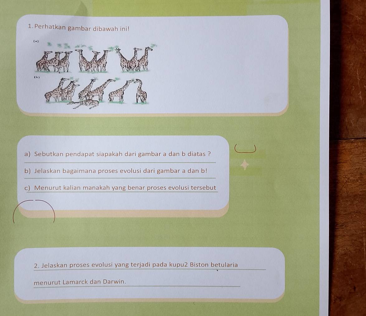 Perhatkan gambar dibawah ini! 
a) Sebutkan pendapat siapakah dari gambar a dan b diatas ? 
_ 
_ 
b) Jelaskan bagaimana proses evolusi dari gambar a dan b! 
c) Menurut kalian manakah yang benar proses evolusi tersebut 
2. Jelaskan proses evolusi yang terjadi pada kupu2 Biston betularia 
_ 
menurut Lamarck dan Darwin.