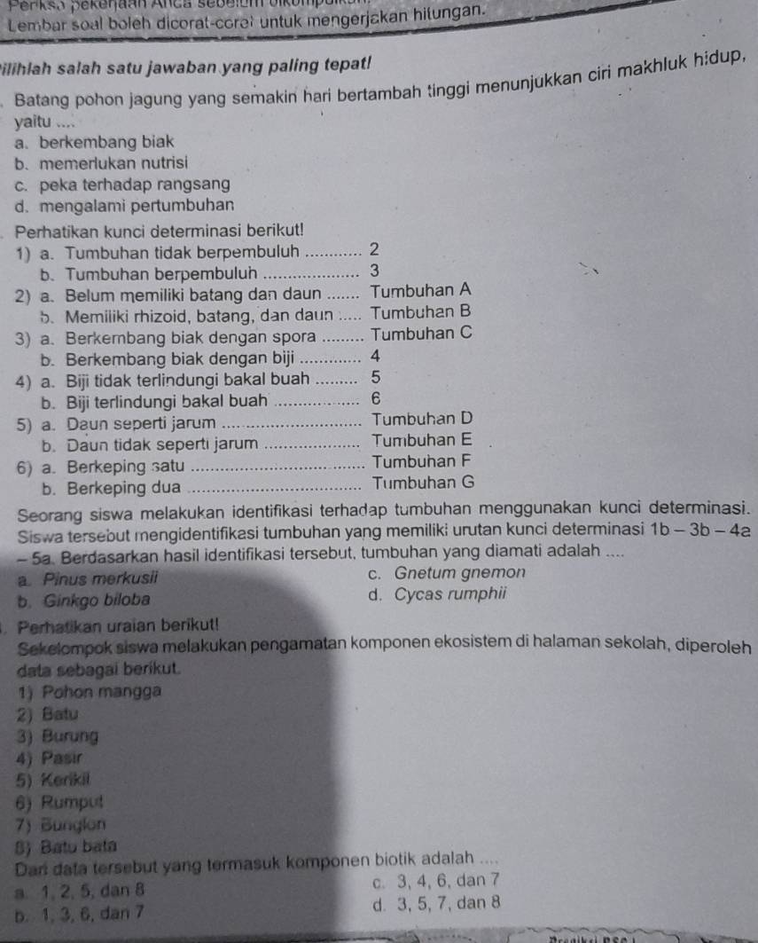 Perksa pekenaán Anca sebelum olkumpo
Lembar soal boleh dicorat-coret untuk mengerjakan hitungan.
ilihlah salah satu jawaban yang paling tepat!
Batang pohon jagung yang semakin hari bertambah tinggi menunjukkan ciri makhluk hidup,
yaitu ....
a. berkembang biak
b. memerlukan nutrisi
c. peka terhadap rangsang
d. mengalami pertumbuhan
Perhatikan kunci determinasi berikut!
1) a. Tumbuhan tidak berpembuluh _2
b. Tumbuhan berpembuluh_
3
2) a. Belum memiliki batang dan daun _Tumbuhan A
5. Memiliki rhizoid, batang, dan daun ... Tumbuhan B
3) a. Berkembang biak dengan spora _Tumbuhan C
b. Berkembang biak dengan biji _4
4) a. Biji tidak terlindungi bakal buah _5
b. Biji terlindungi bakal buah_
6
5) a. Daun seperti jarum _Tumbuhan D
b. Daun tidak seperti jarum _Tumbuhan E
6) a. Berkeping satu _Tumbuhan F
b. Berkeping dua _Tumbuhan G
Seorang siswa melakukan identifikasi terhadap tumbuhan menggunakan kunci determinasi.
Siswa tersebut mengidentifikasi tumbuhan yang memiliki urutan kunci determinasi 1b-3b-4a
- 5a. Berdasarkan hasil identifikasi tersebut, tumbuhan yang diamati adalah ....
a. Pinus merkusii c. Gnetum gnemon
b. Ginkgo biloba d. Cycas rumphii
Perhatikan uraian berikut!
Sekelompok siswa melakukan pengamatan komponen ekosistem di halaman sekolah, diperoleh
data sebagai berikut.
1) Pohon mangga
2) Batu
3) Burung
4) Pasir
5) Kerikil
6) Rumput
7) Bunglon
8) Batu bata
Dan data tersebut yang termasuk komponen biotik adalah ....
a. 1, 2, 5, dan 8 c. 3, 4, 6, dan 7
b. 1, 3, 6, dan 7 d. 3, 5, 7, dan 8