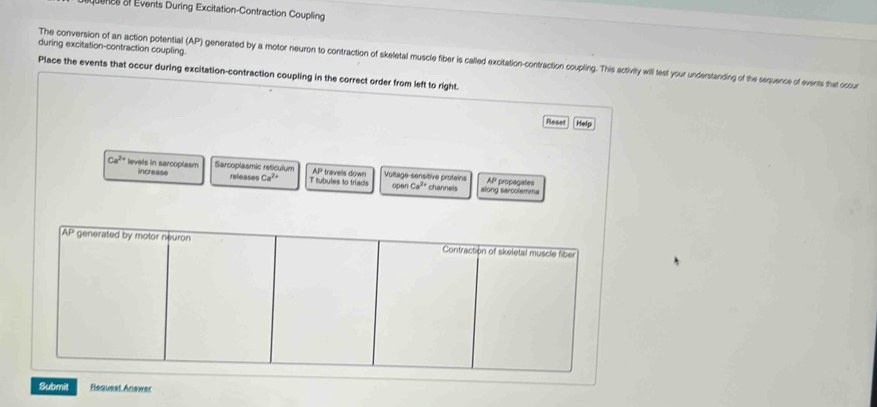 oncs of Events During Excitation-Contraction Coupling
during excitation-contraction coupling.
The conversion of an action potential (AP) generated by a motor neuron to contraction of skeletal muscle fiber is called excitation-contraction coupling. This activity will test your understanding of the sequence of events that ocsu
Place the events that occur during excitation-contraction coupling in the correct order from left to right.
Reset Help
Ca^(2+) levels in sarcoplasm increase Sarcoplasmic reticulum refeases Ca^(2+) T tubules to triads  travels down Voltage-sensitive proteins AP propagates
AP
openCa^(2+) channels along sarcolemma
Submit Request Anawer