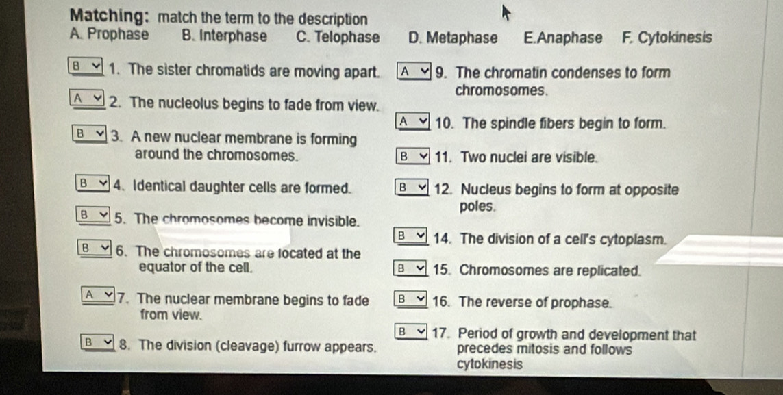 Matching: match the term to the description
A. Prophase B. Interphase C. Telophase D. Metaphase E.Anaphase F. Cytokinesis
B 1. The sister chromatids are moving apart. A 9. The chromatin condenses to form
chromosomes.
A 2. The nucleolus begins to fade from view.
A 10. The spindle fibers begin to form.
B 3. A new nuclear membrane is forming
around the chromosomes. B 11. Two nuclei are visible.
B 4. Identical daughter cells are formed. B 12. Nucleus begins to form at opposite
poles.
B 5. The chromosomes become invisible.
B 14. The division of a cell's cytoplasm.
B 6. The chromosomes are focated at the
equator of the cell. B 15. Chromosomes are replicated.
A 7. The nuclear membrane begins to fade B 16. The reverse of prophase.
from view.
B 17. Period of growth and development that
B 8. The division (cleavage) furrow appears. precedes mitosis and follows
cytokinesis