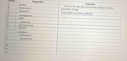 Letter Organelle