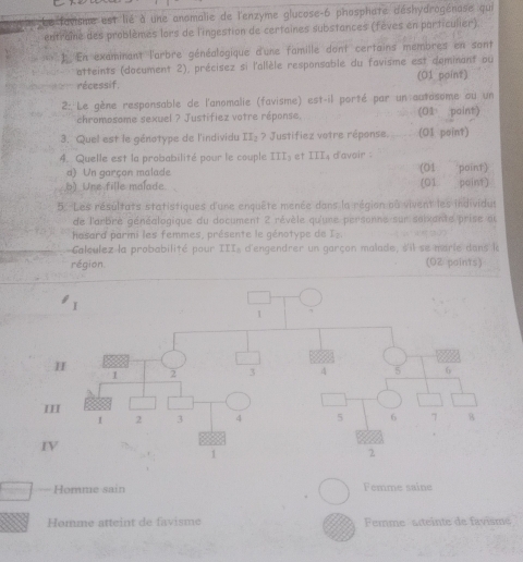 Le favisme est lié à une anomalie de l'enzyme glucose-6 phosphate déshydrogénase qui
entraîe des problèmes lors de l'ingestion de certaines substances (fèves en particulier)
) En examinant l'arbre généalogique d'une famille dont certains membres en sont
atteints (document 2), précisez si l'allèle responsable du favisme est dominant ou
récessif, (01 point)
2: ''Le gène responsable de l'anomalie (favisme) est-il porté par un autosome ou un
chromosome sexuel ? Justifiez votre réponse. (01 point)
3. Quel est le génotype de l'individu II_2 ? Justifiez votre réponse. (01 point)
4. Quelle est la probabilité pour le couple III_2 et III₄ d'avoir :
a) Un garçon malade (01 point)
,b) Une fille malade. (01 point)
5: -Les résultats statistiques d'une enquête menée dans la région nu vivent les individus
de l'arbre généalogique du document 2 révèle qu'une personne sur soixante prise ou
hasard parmi les femmes, présente le génotype de I_2
Galculez la probabilité pour : II_8 d'engendrer un garçon malade, s'il se marie dans k
région. (02 points)
Homme sain Femme saine
Homme atteint de favisme Ferme acteinte de favisme