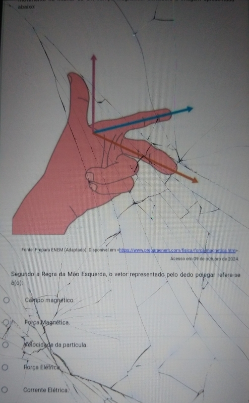 abaixo:
etica.htm>
ro de 2024
Segundo a Regra da Mão Esquerda, o vetor representado pelo dedo polegar refere-se
a(o) :
Campo magnético.
Força Magnética
Velocidade da partícula.
Força Elétrica
Corrente Elétrica