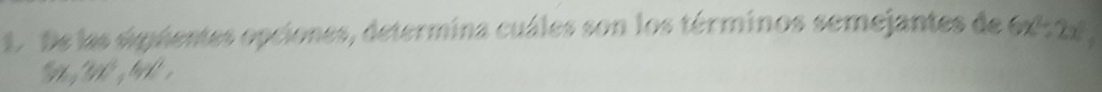 De las siguientes opciones, determina cuáles son los términos semejantes de 6x: 2x
t