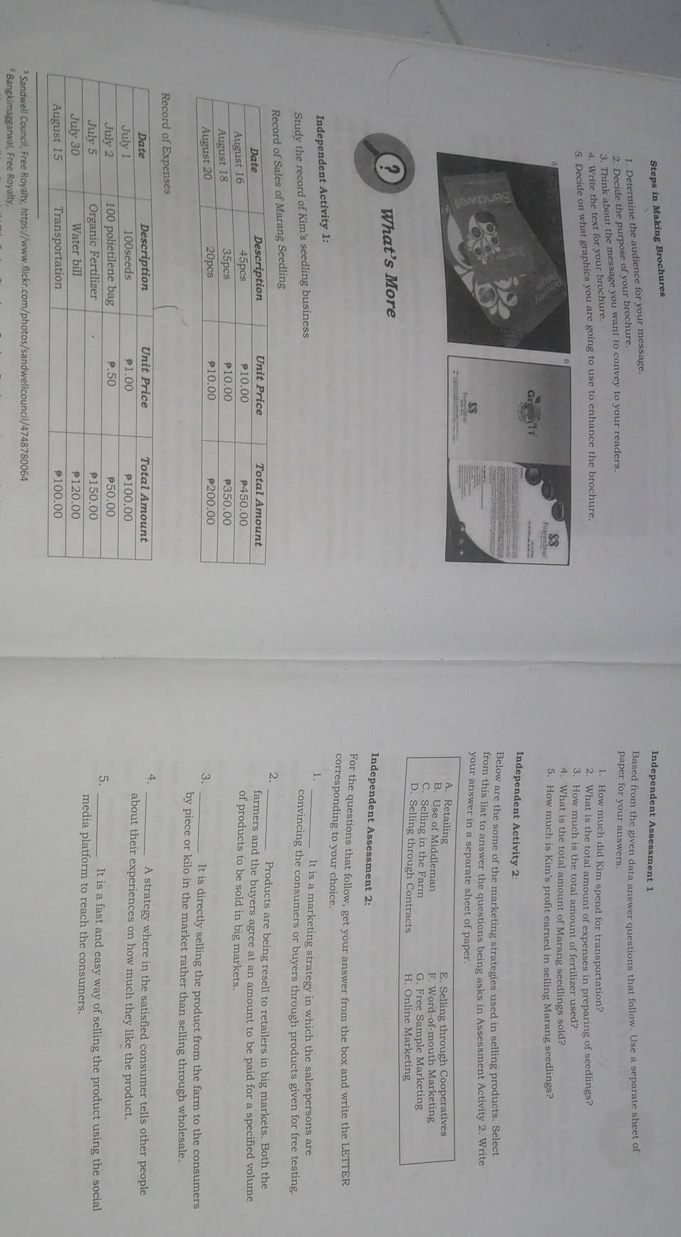 Steps in Making Brochures 
Independent Assessment 1 
1. Determine the audience for your message. 
2. Decide the purpose of your brochure. 
Based from the given data answer questions that follow. Use a separate sheet of 
3. Think about the message you want to convey to your readers 
paper for your answers. 
4. Write the text for your brochure. 
1. How much did Kim spend for transportation? 
5. Decide on what graphics you are going to use to enhance the brochure. 2. What is the total amount of expenses in preparing of seedlings? 
3. How much is the total amount of fertilizer used? 
4. What is the total amount of Marang seedlings sold? 
5. How much is Kim's profit earned in selling Marang seedlings? 
T Independent Activity 2: 
Below are the some of the marketing strategies used in selling products. Select 
from this list to answer the questions being asks in Assessment Activity 2. Write 
your answer in a separate sheet of paper 
? What’s More 
Independent Assessment 2: 
For the questions that follow, get your answer from the box and write the LETTER 
corresponding to your choice. 
Independent Activity 1: 
1. It is a marketing strategy in which the salespersons are 
Study the record of Kim's seedling business 
convincing the consumers or buyers through products given for free testing 
les of Marang Seedling 
2. 
_Products are being resell to retailers in big markets. Both the 
farmers and the buyers agree at an amount to be paid for a specified volume 
of products to be sold in big markets. 
3. 
_It is directly selling the product from the farm to the consumers 
by piece or kilo in the market rather than selling through wholesale. 
cord of Expenses 
4._ 
A strategy where in the satisfied consumer tells other people 
about their experiences on how much they like the product. 
5. 
It is a fast and easy way of selling the product using the social 
media platform to reach the consumers. 
* Sandwell Council, Free Royalty, https://www.flickr.com/photos/sandwellcouncil/4748780064 
* Bangkimaggarwal, Free Royalty,