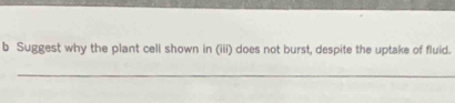 Suggest why the plant cell shown in (iii) does not burst, despite the uptake of fluid. 
_