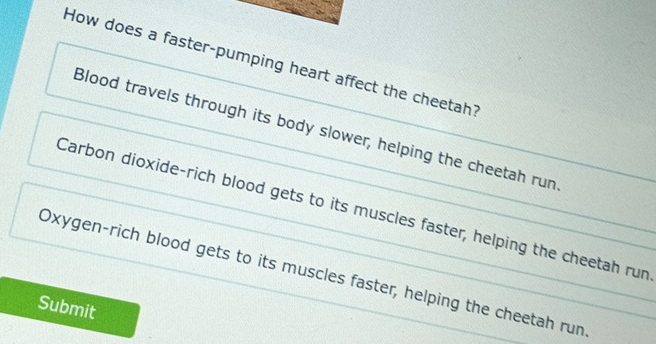 How does a faster-pumping heart affect the cheetah?
Blood travels through its body slower, helping the cheetah run
Carbon dioxide-rich blood gets to its muscles faster, helping the cheetah run
Oxygen-rich blood gets to its muscles faster, helping the cheetah run
Submit