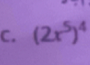 (2x^5)^4