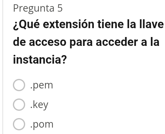 Pregunta 5
¿Qué extensión tiene la llave
de acceso para acceder a la
instancia?.pem.key.pom