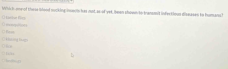 Which one of these blood sucking insects has not, as of yet, been shown to transmit infectious diseases to humans?
O tsetse flies
mosquitoes
fleas
kissing bugs
lice
ticks
bedbugs