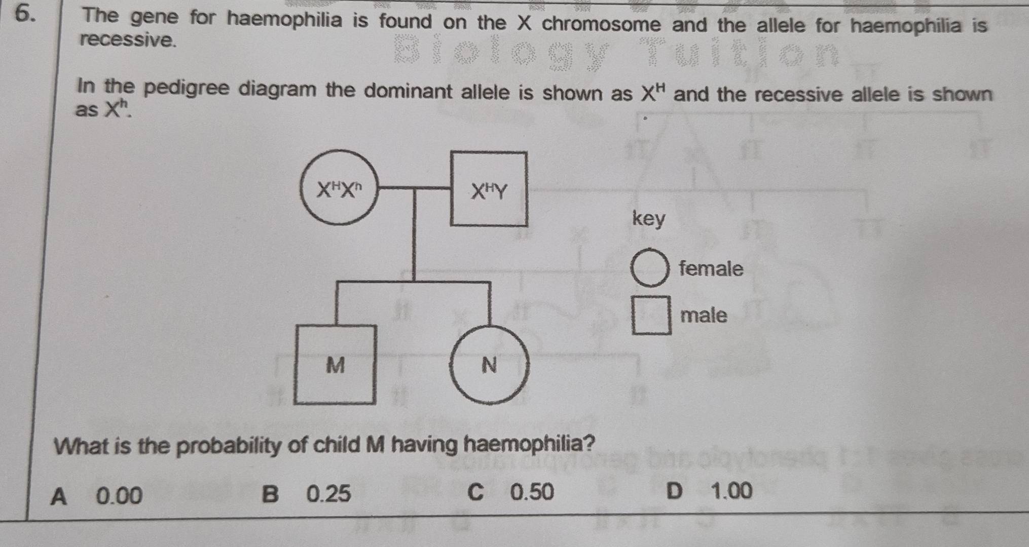 The gene for haemophilia is found on the X chromosome and the allele for haemophilia is
recessive.
In the pedigree diagram the dominant allele is shown as X^H and the recessive allele is shown 
as X^h
key
female
male
What is the probability of child M having haemophilia?
A 0.00 B 0.25 C 0.50 D 1.00