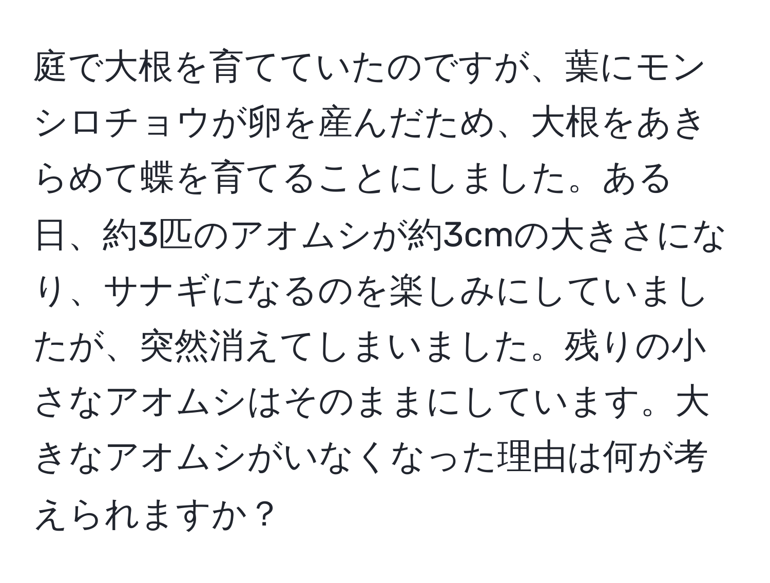 庭で大根を育てていたのですが、葉にモンシロチョウが卵を産んだため、大根をあきらめて蝶を育てることにしました。ある日、約3匹のアオムシが約3cmの大きさになり、サナギになるのを楽しみにしていましたが、突然消えてしまいました。残りの小さなアオムシはそのままにしています。大きなアオムシがいなくなった理由は何が考えられますか？