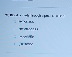 Blood is made through a process called:
hemostasis
hematopoiesis
coagulation
gluttination