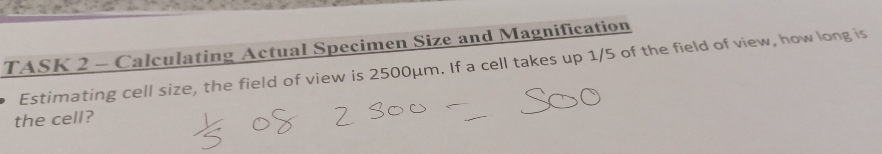 TASK 2 - Calculating Actual Specimen Size and Magnification 
Estimating cell size, the field of view is 2500μm. If a cell takes up 1/5 of the field of view, how long is 
the cell?