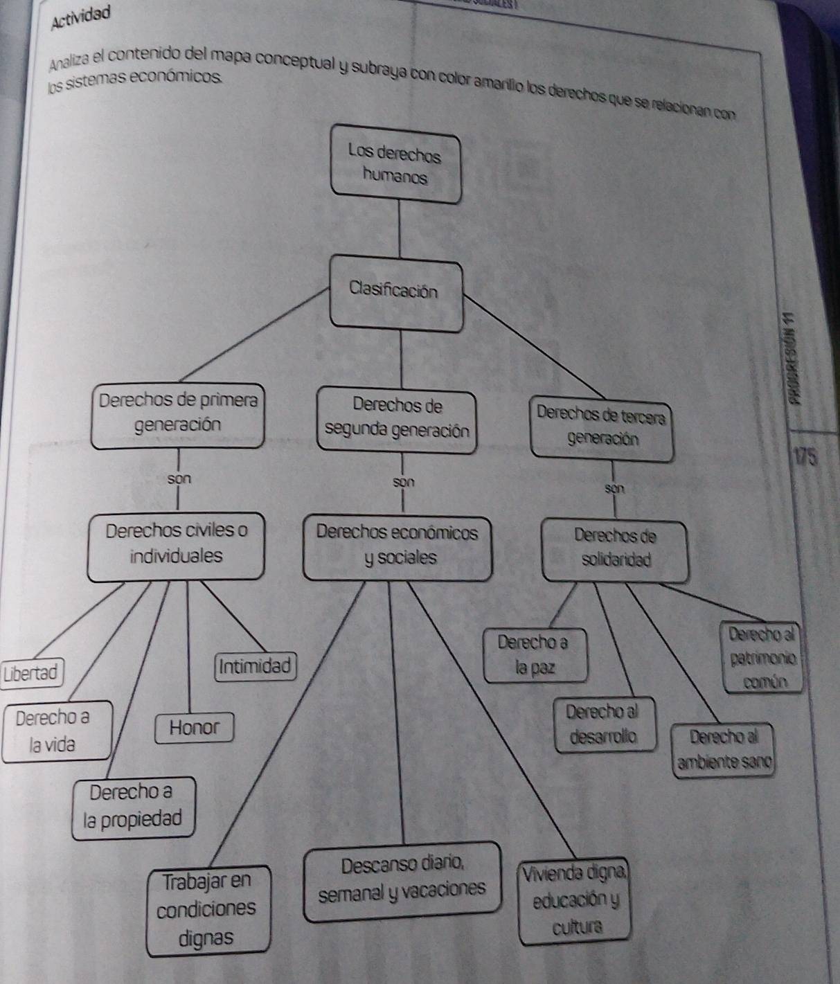 Actividad 
los sistemas económicos 
Analiza el contenido del mapa conceptual y subraya con color amarillo los derechos que se relacionan con 
175 
l 
Libertado 
Dere 
la 
dignas