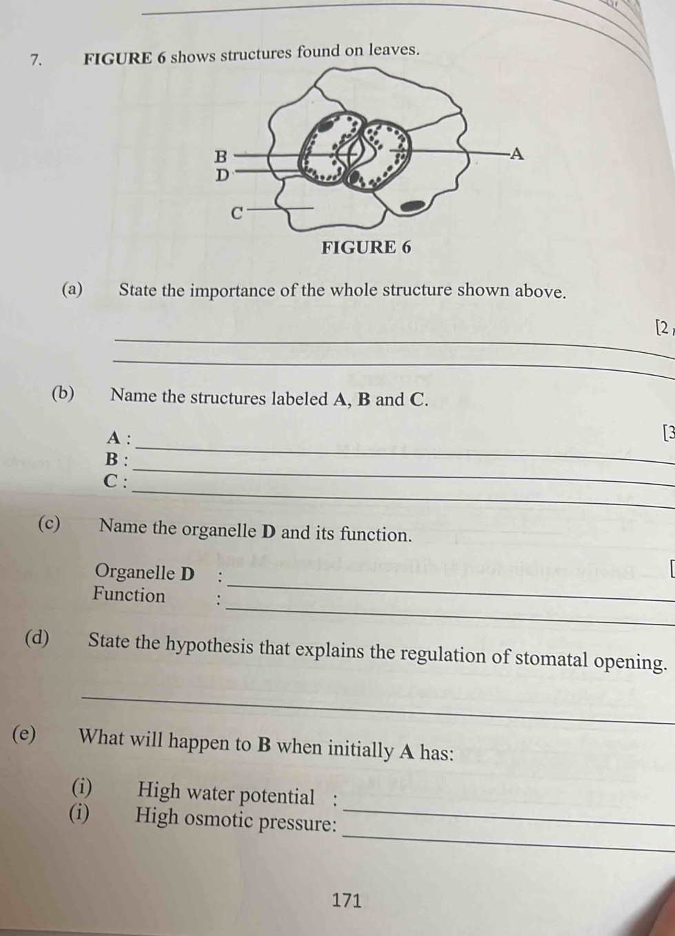 FIGURE 6 shows structures found on leaves. 
(a) State the importance of the whole structure shown above. 
_ 
[2 
_ 
(b) Name the structures labeled A, B and C. 
_ 
A : T3 
_ 
B : 
_ 
C : 
(c) Name the organelle D and its function. 
Organelle D : 
_ 
Function : 
_ 
(d) State the hypothesis that explains the regulation of stomatal opening. 
_ 
(e) What will happen to B when initially A has: 
(i) High water potential : 
_ 
(i) High osmotic pressure: 
_ 
171