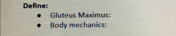 Define: 
Gluteus Maximus: 
Body mechanics: