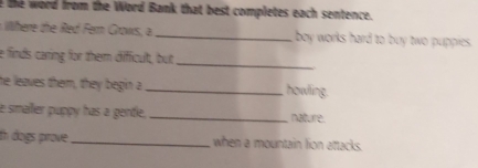 the word from the Word Bank that best completes each sentence. 
lhere the Red Fern Grows, a _boy works hard to buy two puppies. 
e finds carring for them difficult, but_ 
he leaves them, they begin a _howling. 
e smaller puppó has a gentle, _nature. 
th dogs prove_ when a mountain lion attacks.