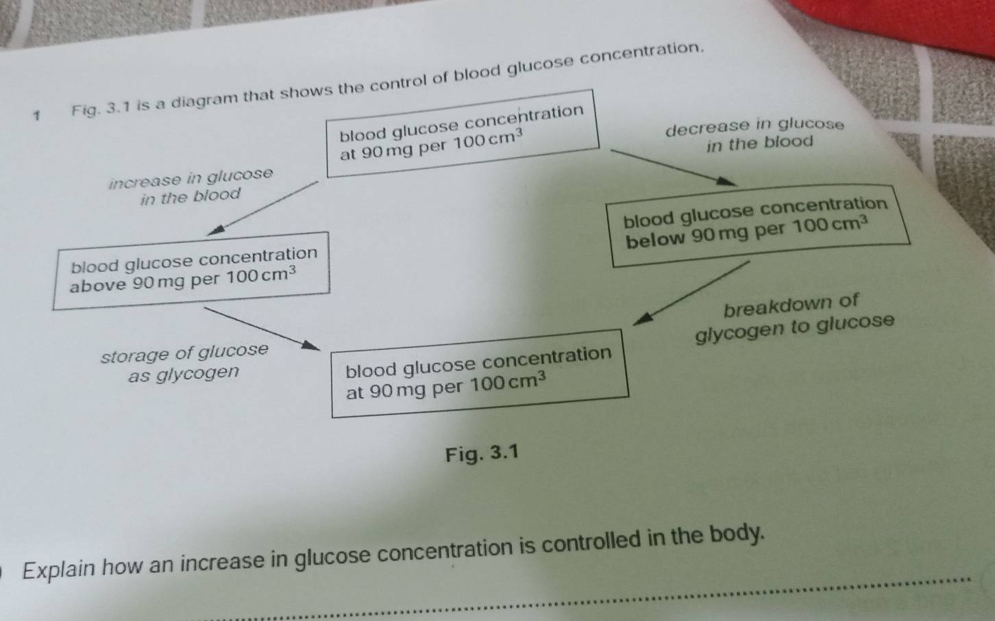 Fig. 3.1 is a diagram that shows the control of blood glucose concentration. 
blood glucose concentration 
at 90 mg per 100cm^3
decrease in glucose 
increase in glucose in the blood 
in the blood 
below 90 mg per 100cm^3
blood glucose concentration blood glucose concentration 
above 90mg per 100cm^3
breakdown of 
storage of glucose 
as glycogen 
blood glucose concentration glycogen to glucose 
at 90 mg per 100cm^3
Fig. 3.1 
Explain how an increase in glucose concentration is controlled in the body.