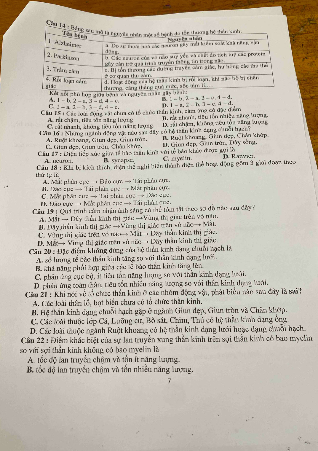 hù hợp giữa bệnh và nguyên nh
A. 1-b,2-a,3-d,4- C
B. 1-b,2-a,3-c,4-d
C. 1-a,2-b,3-d,4-c
D. 1-a,2-b,3-c,4-d.
Câu 15 : Các loài động vật chưa có tổ chức thần kinh, cảm ứng có đặc điểm
A. rất châm, tiêu tốn năng lượng. B rất nhanh, tiêu tốn nhiều năng lượng.
C. rất nhanh, không tiêu tốn năng lượng. D. rất chậm, không tiêu tốn năng lượng.
Câu 16 : Những ngành động vật nào sau đây có hệ thần kinh dạng chuỗi hạch?
A. Ruột khoang, Giun dẹp, Giun tròn. B. Ruột khoang, Giun dẹp, Chân khớp.
C. Giun dẹp, Giun tròn, Chân khớp. D. Giun dẹp, Giun tròn, Dây sống.
Câu 17 : Diện tiếp xúc giữa tế bào thần kinh với tế bào khác được gọi là
A. neuron. B. synapse. C. myelin. D. Ranvier.
Câu 18 : Khi bị kích thích, điện thế nghỉ biến thành điện thế hoạt động gồm 3 giai đoạn theo
thứ tự là
A. Mất phân cực → Đảo cực → Tái phân cực.
B. Đảo cực → Tái phân cực → Mất phân cực.
C. Mất phân cực → Tái phân cực → Đảo cực.
D. Đảo cực → Mất phân cực → Tái phân cực.
Câu 19 : Quá trình cảm nhận ánh sáng có thể tóm tắt theo sơ đồ nào sau đây?
A. Mắt → Dây thần kinh thị giác →Vùng thị giác trên vỏ não.
B. Dây thần kinh thị giác →Vùng thị giác trên vỏ não→ Mắt.
C. Vùng thị giác trên vỏ não→ Mắt→ Dây thần kinh thị giác.
D. Mắt→ Vùng thị giác trên vỏ não→ Dây thần kinh thị giác.
Câu 20 : Đặc điểm không đúng của hệ thần kinh dạng chuỗi hạch là
A. số lượng tế bào thần kinh tăng so với thần kinh dạng lưới.
B. khả năng phối hợp giữa các tế bào thần kinh tăng lên.
C. phản ứng cục bộ, ít tiêu tốn năng lượng so với thần kinh dạng lưới.
D. phản ứng toàn thân, tiêu tốn nhiều năng lượng so với thần kinh dạng lưới.
Câu 21 : Khi nói về tổ chức thần kinh ở các nhóm động vật, phát biểu nào sau đây là sai?
A. Các loài thân lỗ, bọt biển chưa có tổ chức thần kinh.
B. Hệ thần kinh dạng chuỗi hạch gặp ở ngành Giun dẹp, Giun tròn và Chân khớp.
C. Các loài thuộc lớp Cá, Lưỡng cư, Bò sát, Chim, Thú có hệ thần kinh dạng ống.
D. Các loài thuộc ngành Ruột khoang có hệ thần kinh dạng lưới hoặc dạng chuỗi hạch.
Câu 22 : Điểm khác biệt của sự lan truyền xung thần kinh trên sợi thần kinh có bao myelin
so với sợi thần kinh không có bao myelin là
A. tốc độ lan truyền chậm và tốn ít năng lượng.
B. tốc độ lan truyền chậm và tốn nhiều năng lượng.
7