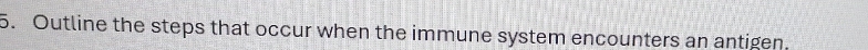 Outline the steps that occur when the immune system encounters an antigen.