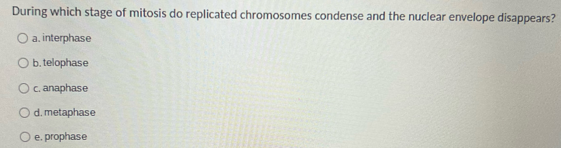 During which stage of mitosis do replicated chromosomes condense and the nuclear envelope disappears?
a. interphase
b. telophase
c. anaphase
d. metaphase
e. prophase