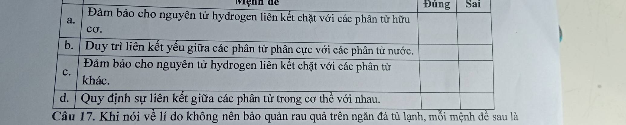 Mệnh dề Đúng Sai