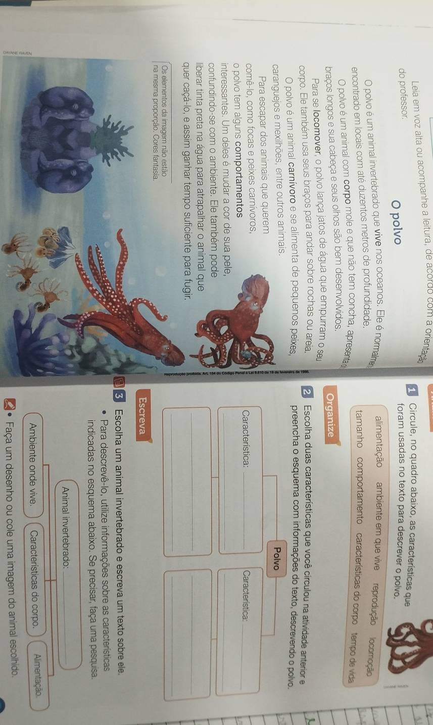 Leia em voz alta ou acompanhe a leitura, de acordo com a orientação
Circule, no quadro abaixo, as características que
do professor.
O polvo
foram usadas no texto para descrever o polvo.
O polvo é um animal invertebrado que vive nos oceanos. Ele é normalma
alimentação ambiente em que vive reprodução locomoção
encontrado em locais com até duzentos metros de profundidade.
tamanho comportamento  características do corpo tempo de vida
O polvo é um animal com corpo mole e que não tem concha, apresentad
braços longos e sua cabeça e seus olhos são bem desenvolvidos.
Organize
Para se locomover, o polvo lança jatos de água que empurram o seu

corpo. Ele também usa seus braços para andar sobre rochas ou areia,  Escolha duas características que você circulou na atividade anterior e
O polvo é um animal carnívoro e se alimenta de pequenos peixes, preencha o esquema com informações do texto, descrevendo o polvo.
caranguejos e mexilhões, entre outros animais. Polvo
Para escapar dos animais que querem
comê-lo, como focas e peixes carnívoros,  Característica: _ Característica:_
o polvo tem alguns comportamentos
interessantes. Um deles é mudar a cor de sua pele,
__
confundindo-se com o ambiente. Ele também pode
__
liberar tinta preta na água para atrapalhar o animal que
quer caçá-lo, e assim ganhar tempo suficiente para fugir.
__
Os elementos da imagem não estão
na mesma proporção. Cores fantasia.
Escreva
a 3Escolha um animal invertebrado e escreva um texto sobre ele.
Para descrevê-lo, utilize informações sobre as características
indicadas no esquema abaixo. Se precisar, faça uma pesquisa.
Animal invertebrado:_
Ambiente onde vive.  Características do corpo. Alimentação.
. Faça um desenho ou cole uma imagem do animal escolhido.