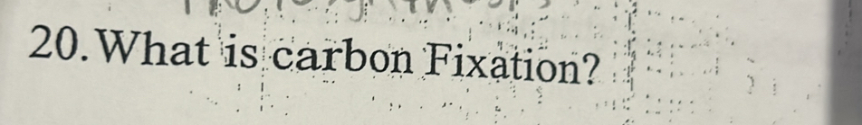 What is carbon Fixation?