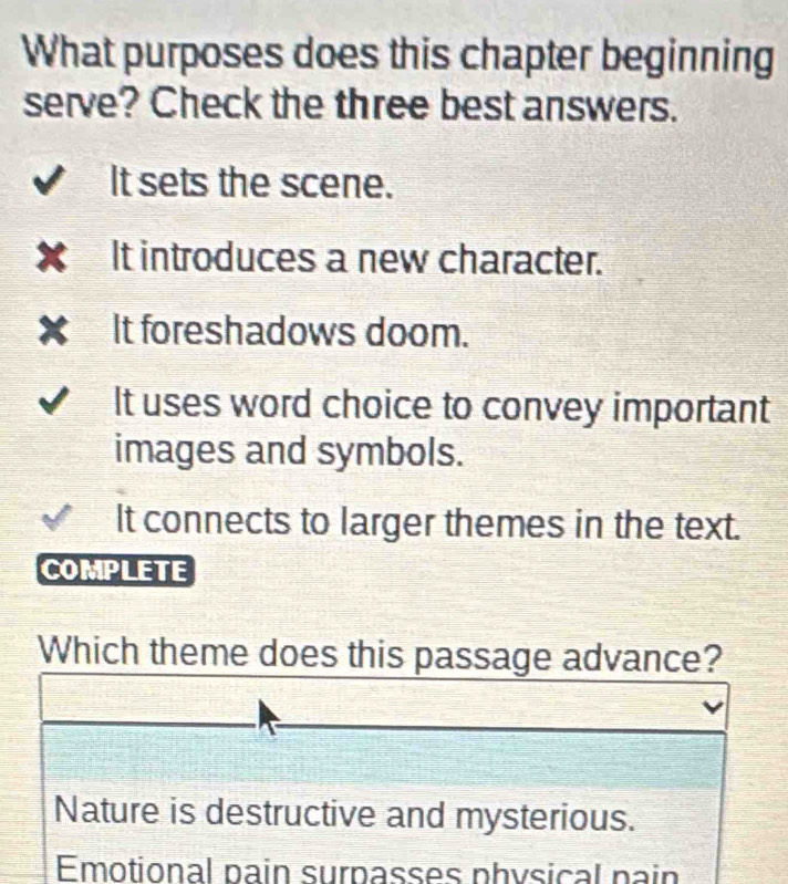 What purposes does this chapter beginning
serve? Check the three best answers.
It sets the scene.
It introduces a new character.
It foreshadows doom.
It uses word choice to convey important
images and symbols.
It connects to larger themes in the text.
COMPLETE
Which theme does this passage advance?
Nature is destructive and mysterious.
Emotional pain surpasses physical pain