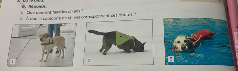 Lis lễ bi8g. 
. Réponds. 
1. Que peuvent faire les chiens ? 
2. À quelle catégorie de chiens correspondent ces photos ?