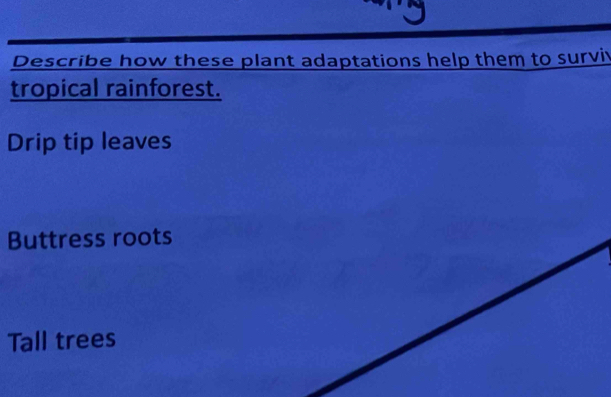 Describe how these plant adaptations help them to surviv 
tropical rainforest. 
Drip tip leaves 
Buttress roots 
Tall trees