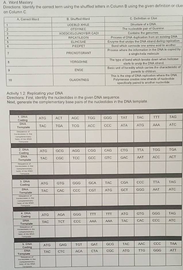 A Word Mastery 
Directions: Identify the correct term using the shuffled letters in Column B using the given definition or clue 
on Column C 
n. 
y 
of 
Activity 1.2: Replicating your DNA 
Directions: First, identify the nuclectides in the given DNA sequence. 
Next, generate the complementary base pairs of the nucleotides in the DNA template. 
G 
C 
A 
T 
G 
C 
G 
C 
A 
T 
hane of the Diot - —-)
