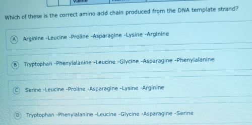 Which of these is the correct amino acid chain produced from the DNA template strand?
A ) Arginine -Leucine -Proline -Asparagine -Lysine -Arginine
B) Tryptophan -Phenylalanine -Leucine -Glycine -Asparagine -Phenylalanine
C Serine -Leucine -Proline -Asparagine -Lysine -Arginine
D Tryptophan -Phenylalanine -Leucine -Glycine -Asparagine -Serine