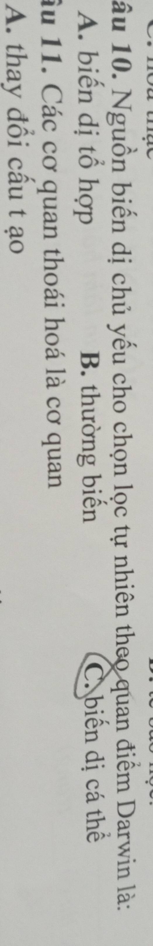 ầu 10. Nguồn biến dị chủ yếu cho chọn lọc tự nhiên theo quan điểm Darwin là:
A. biến dị tổ hợp B. thường biển C. biến dị cá thể
âu 11. Các cơ quan thoái hoá là cơ quan
A. thay đổi cầu t ạo