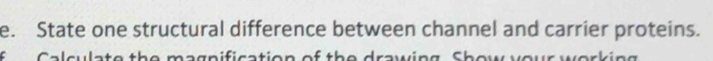 State one structural difference between channel and carrier proteins. 
a l sulate the magnification of the drawing Sh ow er k i n a