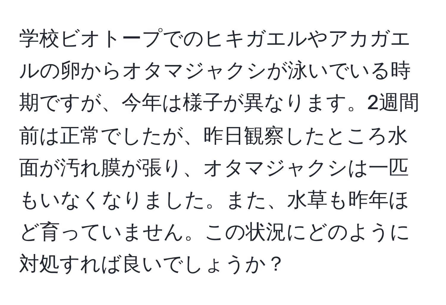 学校ビオトープでのヒキガエルやアカガエルの卵からオタマジャクシが泳いでいる時期ですが、今年は様子が異なります。2週間前は正常でしたが、昨日観察したところ水面が汚れ膜が張り、オタマジャクシは一匹もいなくなりました。また、水草も昨年ほど育っていません。この状況にどのように対処すれば良いでしょうか？