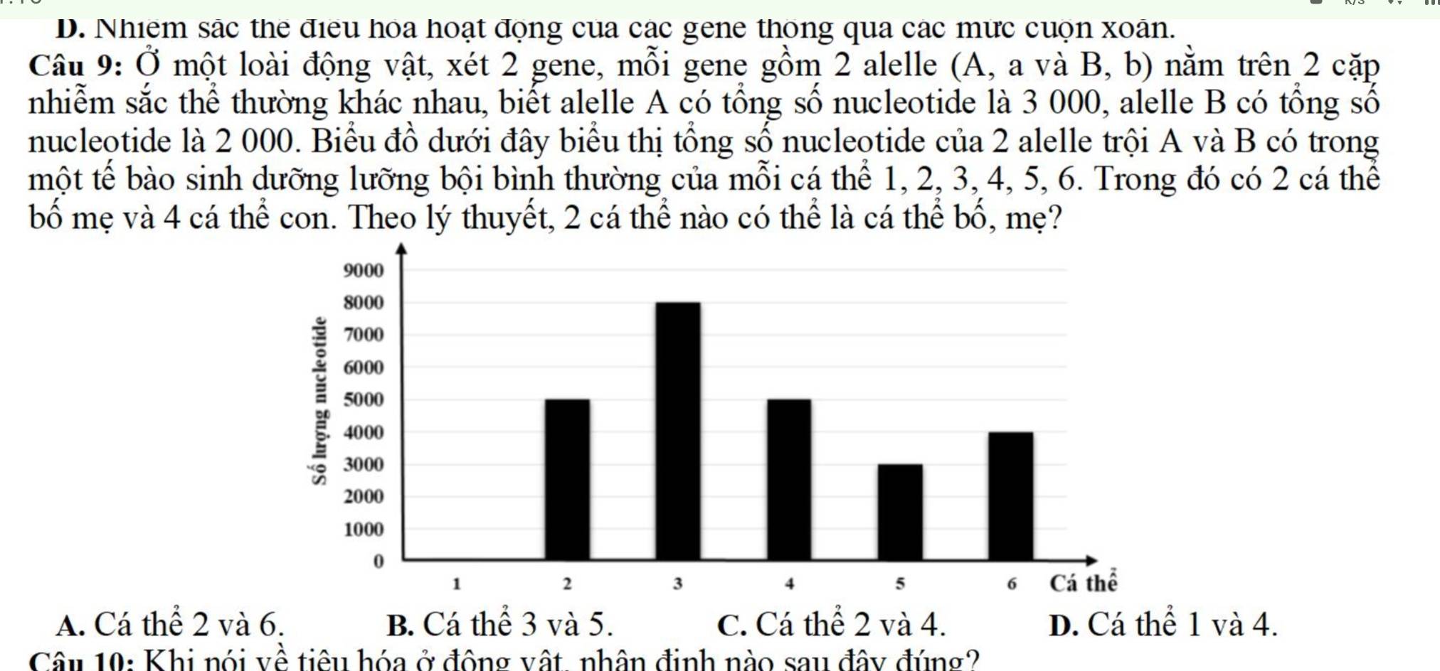 D. Nhiêm sác the đieu hoa hoạt động của các gene thông qua các mừc cuộn xoán.
Câu 9: Ở một loài động vật, xét 2 gene, mỗi gene gồm 2 alelle (A, a và B, b) nằm trên 2 cặp
nhiễm sắc thể thường khác nhau, biết alelle A có tổng số nucleotide là 3 000, alelle B có tổng số
nucleotide là 2 000. Biểu đồ dưới đây biểu thị tổng số nucleotide của 2 alelle trội A và B có trong
một tế bào sinh dưỡng lưỡng bội bình thường của mỗi cá thể 1, 2, 3, 4, 5, 6. Trong đó có 2 cá thể
bố mẹ và 4 cá thể con. Theo lý thuyết, 2 cá thể nào có thể là cá thể bố, mẹ?
A. Cá thể 2 và 6. B. Cá thể 3 và 5. C. Cá thể 2 và 4. D. Cá thể 1 và 4.
Câu 10: Khi nói về tiêu hóa ở động vật, nhân định nào sau đây đúng?