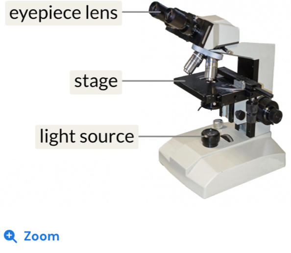 eyep 
light source 
Zoom