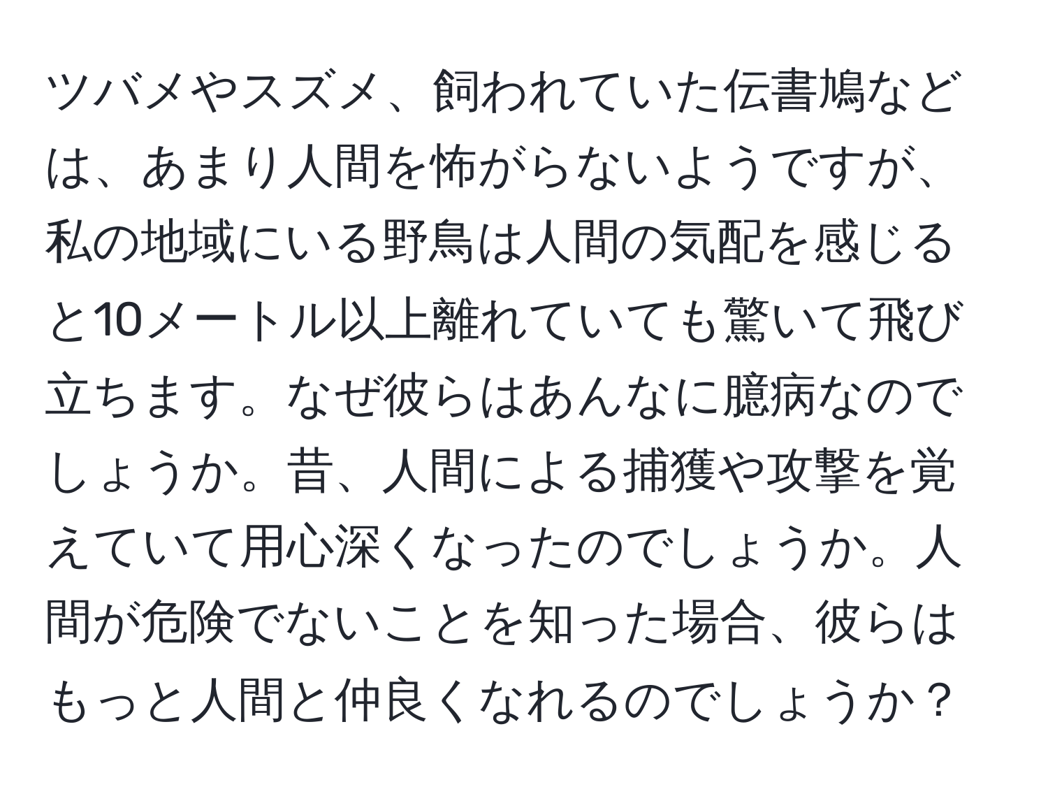 ツバメやスズメ、飼われていた伝書鳩などは、あまり人間を怖がらないようですが、私の地域にいる野鳥は人間の気配を感じると10メートル以上離れていても驚いて飛び立ちます。なぜ彼らはあんなに臆病なのでしょうか。昔、人間による捕獲や攻撃を覚えていて用心深くなったのでしょうか。人間が危険でないことを知った場合、彼らはもっと人間と仲良くなれるのでしょうか？