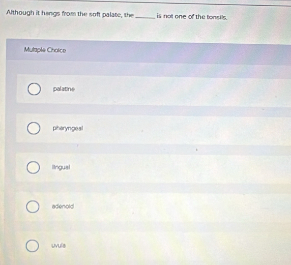 Although it hangs from the soft palate, the _is not one of the tonsils.
Multiple Choice
palatine
pharyngeal
lingual
adenold
uvula