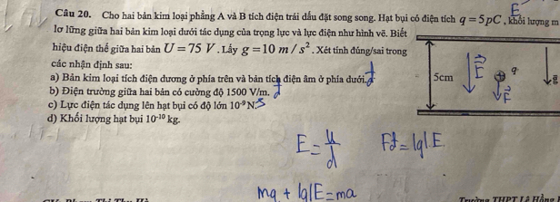 Cho hai bản kim loại phầng A và B tích điện trái dấu đặt song song. Hạt bụi có điện tích q=5pC , khổi lượng m 
lơ lững giữa hai bản kim loại dưới tác dụng của trọng lực và lực điện như hình vẽ. Biết 
hiệu điện thế giữa hai bản U=75V. Lấy g=10m/s^2. Xét tính đúng/sai trong 
các nhận định sau: 
a) Bản kim loại tích điện đương ở phía trên và bản tích điện âm ở phía dưới. 5cm q 
b) Điện trường giữa hai bản có cường độ 1500 V/m. 
c) Lực điện tác dụng lên hạt bụi có độ lớn 10^(-9)N
d) Khối lượng hạt bụi 10^(-10)kg.