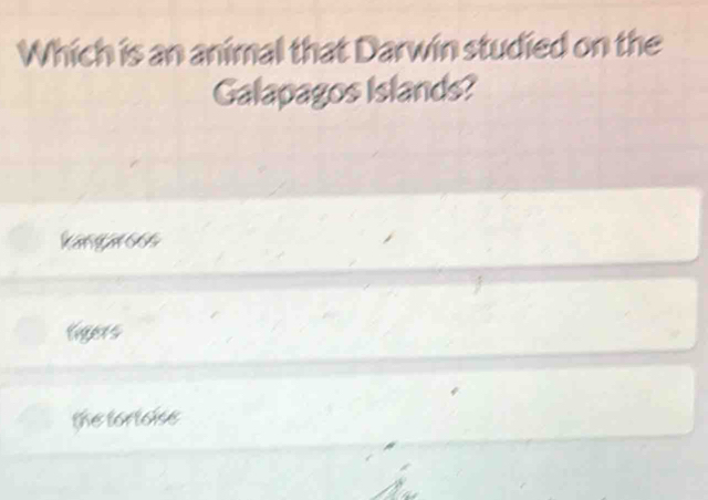 Which is an animal that Darwin studied on the
Galapagos Islands?
kangaroos
ligers
the tortoise