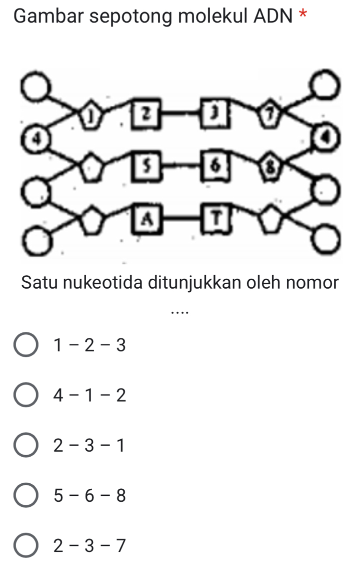 Gambar sepotong molekul ADN *
Satu nukeotida ditunjukkan oleh nomor
…
1-2-3
4-1-2
2-3-1
5-6-8
2-3-7