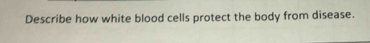 Describe how white blood cells protect the body from disease.